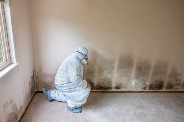 Mold Documentation for Insurance Claims in Chain Lake, WA